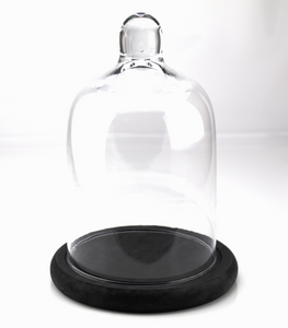 Set Glasglocke mit Untersatz, 2-teilig
