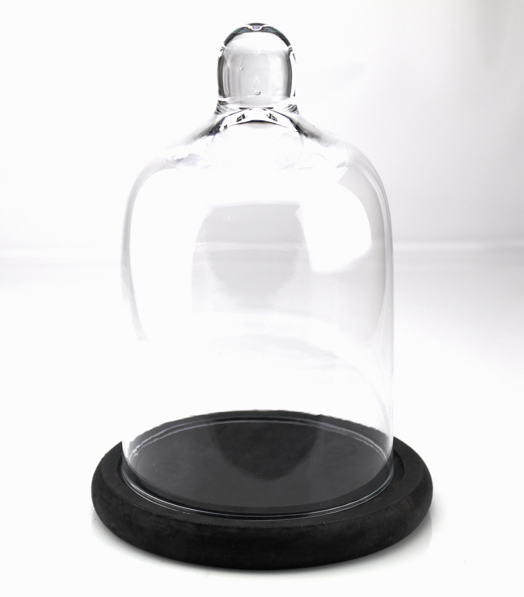 Set Glasglocke mit Untersatz, 2-teilig