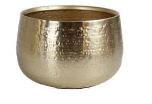 Schale Character Gold