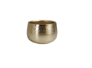 Schale Character Gold