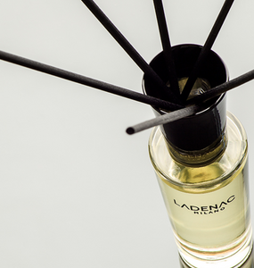 Aroma Diffuser BOISSE MOUSSE Mikado