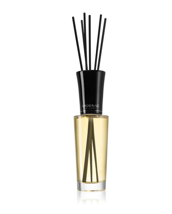 Aroma Diffuser BOISEE AROMATIQUE Mikado