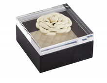 Laden Sie das Bild in den Galerie-Viewer, Riviere Lederboxen Flower